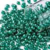 6/0 Glass Seed Beads SEED-A017-4mm-1118-1