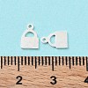 925 Sterling Silver Charms STER-F053-06S-4