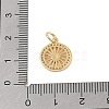 Brass Micro Pave Clear Cubic Zirconia Charms KK-E111-32B-G-3