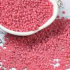 Baking Paint Glass Seed Beads SEED-P006-03A-08-1