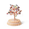 Natural Gemstone Chips Money Tree in Dome Glass Bell Jars with Wood Base Display Decorations DJEW-B007-04E-2