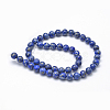 Natural Lapis Lazuli Beads Strands X-G-P335-09-8mm-4