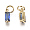 Brass Micro Pave Cubic Zirconia Charms ZIRC-F111-03G-05-2