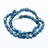 Natural Apatite Beads Strands X-G-E483-41A-2