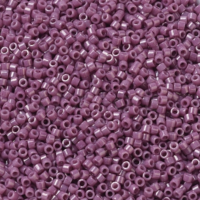 MIYUKI Delica Beads Small X-SEED-J020-DBS0265-1