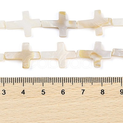 Natural Freshwater Shell Beads Strands BSHE-G036-05B-1