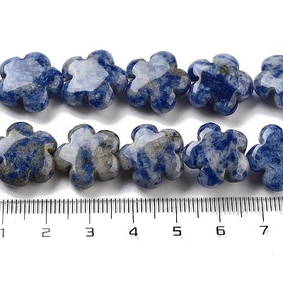 Natural Blue Spot Jasper Beads Strands G-F769-D01-01-1