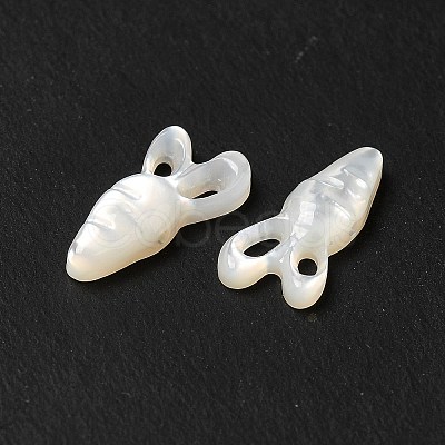 Natural White Shell Beads BSHE-E026-07-1