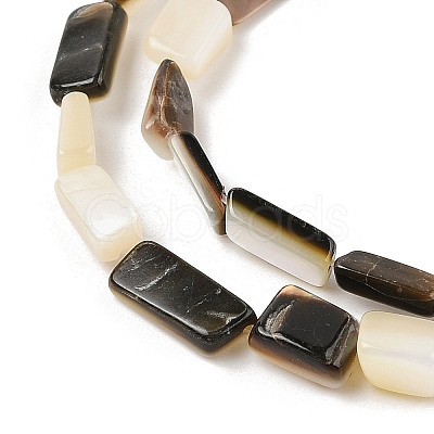 Natural Black Lip Shell Beads Strands SHEL-R100-01A-1