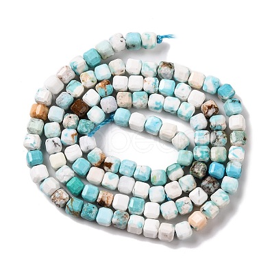 Natural Howlite Beads Strands G-G001-A03-08-1