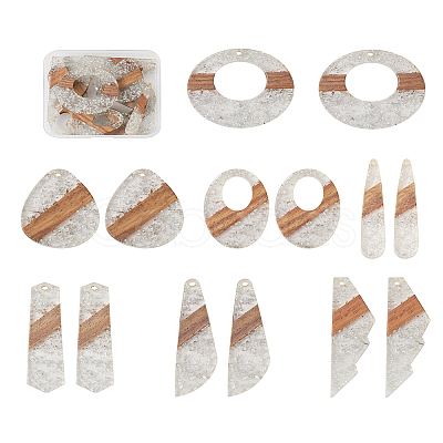 Biyun 14Pcs 7 Styles Transparent Resin & Walnut Wood Pendants RESI-BY0001-06-1