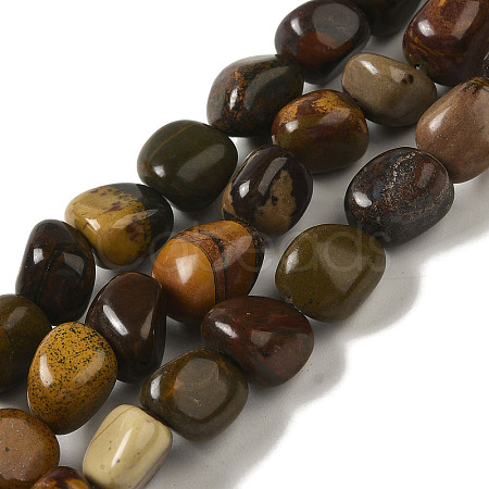 Natural Petrified Wood Beads Strands G-B078-D18-01-1