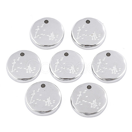 316 Surgical Stainless Steel Charms STAS-S116-418L-P-1