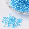 Round Glass Seed Beads X-SEED-A006-3mm-103-1