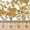 TOHO Round Seed Beads X-SEED-TR11-0744-4