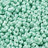 Glass Seed Beads SEED-L011-04A-12-3