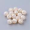 Natural White Shell Beads SSHEL-Q298-12mm-08-1