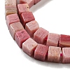 Natural Rhodonite Beads Strands G-C129-A14-01-4