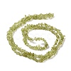 Natural Peridot Beads Strands G-P332-48-01-2