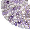 Natural Amethyst Beads Strands G-K389-A43-01-3