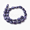 Opaque Solid Color Glass Beads Strands GLAA-E405-02B-2