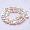 Natural Cultured Freshwater Pearl Beads Strands PEAR-P002-01-2