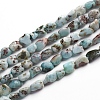 Natural Larimar Beads Strands G-D0002-B38-4