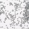 8/0 Transparent Glass Round Seed Beads SEED-J010-F8-40-3