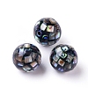 Natural Abalone Shell Beads SSHEL-E437-1-2
