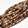 Frosted Natural Petrified Wood Round Bead Strands G-F266-07-10mm-1