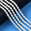 Natural Cultured Freshwater Pearl Beads Strands PEAR-N012-03G-6