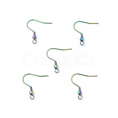 316 Surgical Stainless Steel Hook Earrings STAS-E009-1MC-1