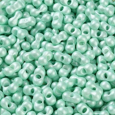 Glass Seed Beads SEED-L011-04A-12-1