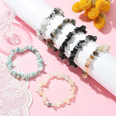 Natural Mixed Gemstone Beads Stretch Bracelets BJEW-JB03860-1