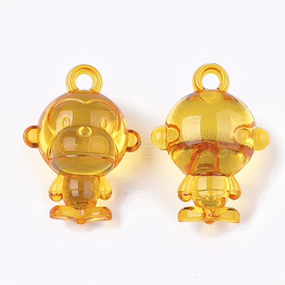 Transparent Acrylic Pendants TACR-S133-105-1