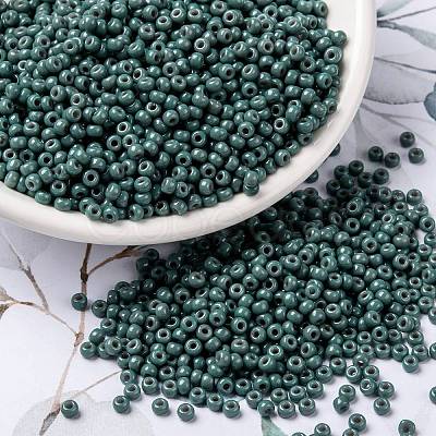 MIYUKI Round Rocailles Beads SEED-G008-RR4481-1