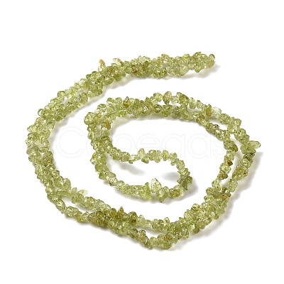 Natural Peridot Beads Strands G-P332-48-01-1