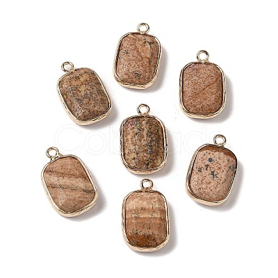 Natural Picture Jasper Faceted Pendants G-Q169-06G-03-1