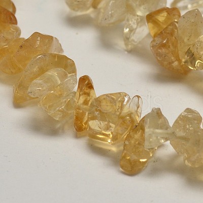 Chip Natural Citrine Beads Strands X-G-N0134-21-1