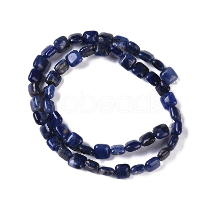 Natural Sodalite Beads Strands G-M435-A07-01-1