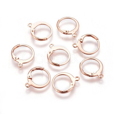 304 Stainless Steel Leverback Earring Findings STAS-E460-02RG-1