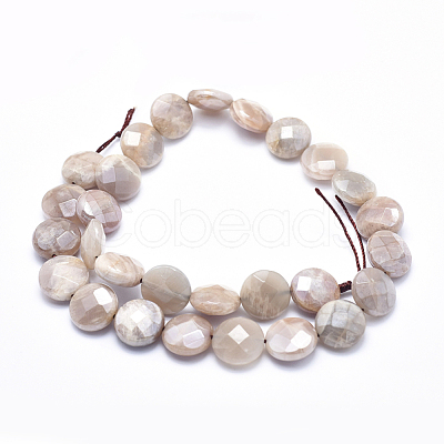 Electroplate Natural Sunstone Beads Strands G-K256-20B-1