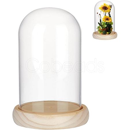 Nbeads Glass Dome Cover DJEW-NB0001-35-1