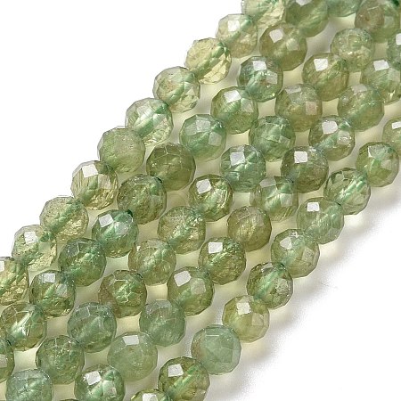 Natural Apatite Beads Strands G-C009-A22-1