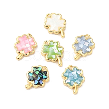 Rack Plating Brass & Shell Clover Charms with Epoxy Resin KK-K380-01G-1