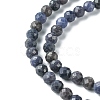 Natural Sapphire Beads Strands G-F748-M01-04-4