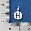 925 Sterling Silver Constellations Charms STER-M118-01D-3