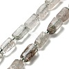 Natural Green Lodolite Quartz/Garden Quartz Beads Strands G-K245-I13-01-1