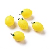 Opaque Resin Fruit Pendants RESI-H144-04-3