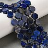 Natural Lapis Lazuli Beads Strands G-P534-A12-02-2